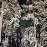 Apartmán The House Under Northern Lights *