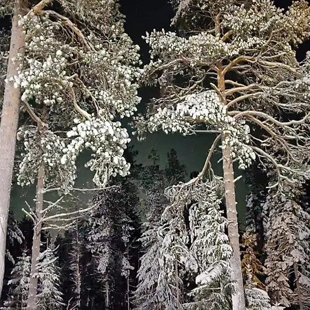 Huoneisto The House Under Northern Lights *