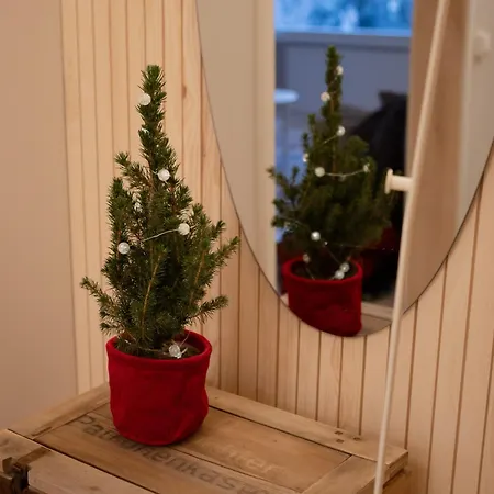 Apartment Talo Mustikankukka Tervola, Finland