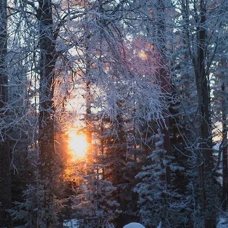 Huoneisto The House Under Northern Lights *