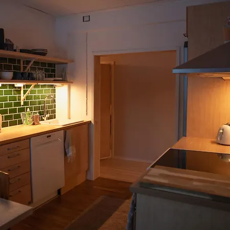 The House Under Northern Lights Apartment