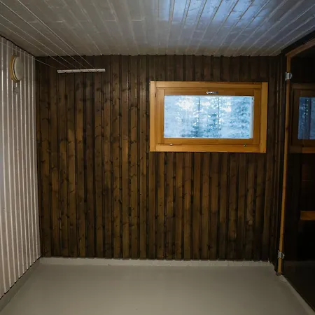 The House Under Northern Lights Apartment Tervola