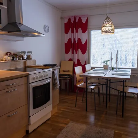 The House Under Northern Lights Huoneisto *
