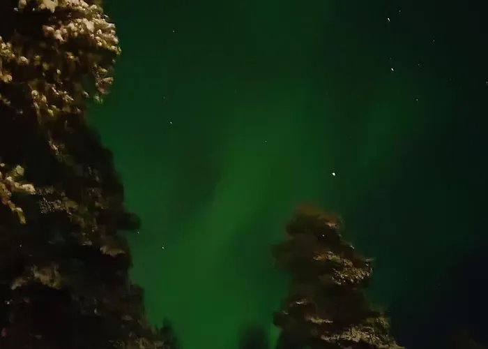 The House Under Northern Lights テルボラ