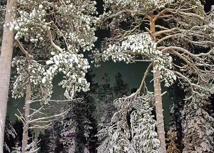 アパート The House Under Northern Lights *