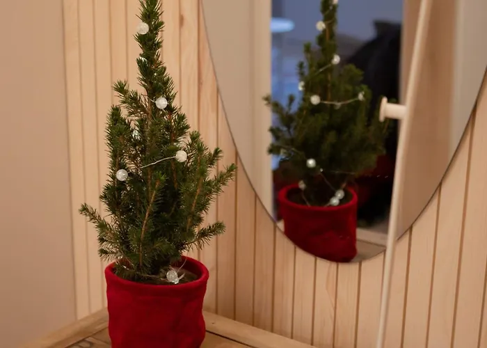 アパート The House Under Northern Lights