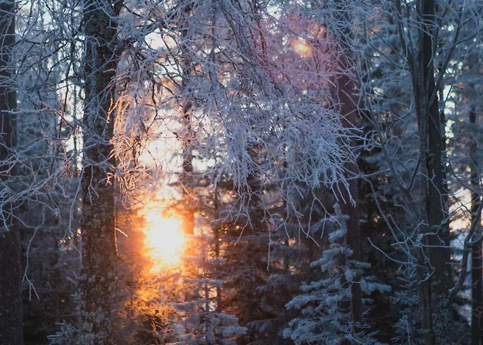 アパート The House Under Northern Lights *